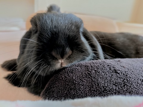 07EEEBBC-5E88-41ED-A3FF-C6BEF1BEEA25