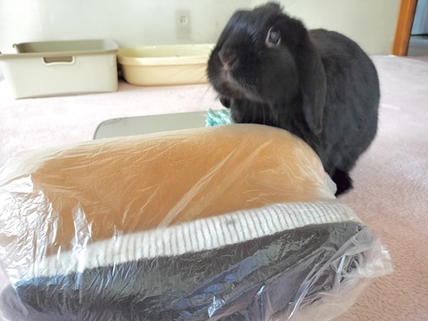 CE8B5448-D038-4D30-B5BE-1BEB4880A65A