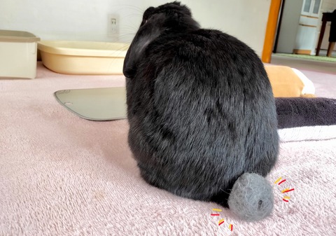 5A6DD0EB-F57E-4C12-8225-4892E68E9A34