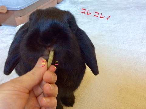 A87A9942-824B-4879-9DE5-C2C0DA6166FD