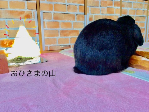 9B497E32-FB50-4106-8D9C-4DB2A2C0003A