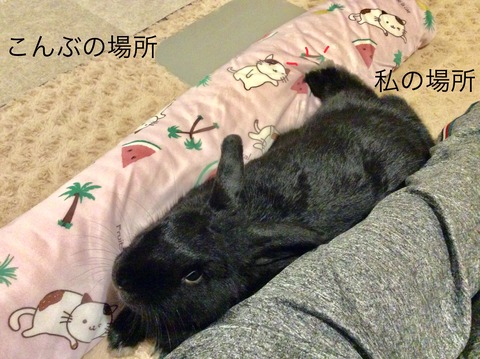 5D356E0A-2AFF-4D4C-BE49-C4483502FA35