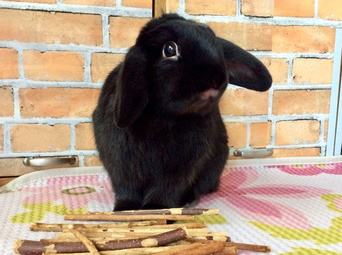 07CBADCF-5546-4F03-BE16-9C4AB6293D85