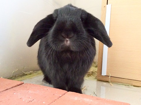 C3CC51FB-673F-4E9D-9BF4-F5BC1934CEA2