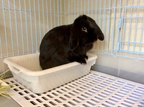 F183F475-05DD-42AF-8A29-AB7C0FC377B2