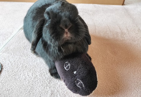 4DB5B8C8-48DD-42D4-968A-2CC428342762