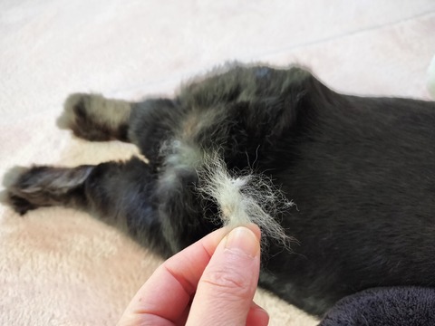 D7933CB1-4BA8-41BA-8313-832F0D42BF1D