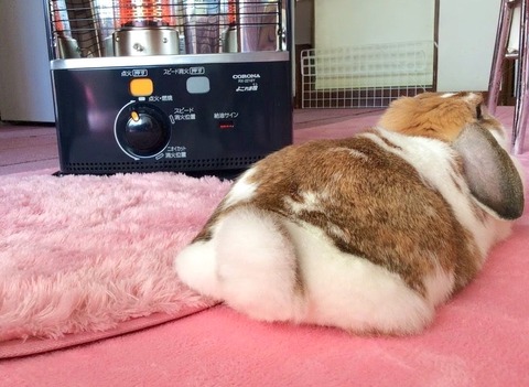 7A4F1D23-C6B4-4F70-8422-C753A128DB64