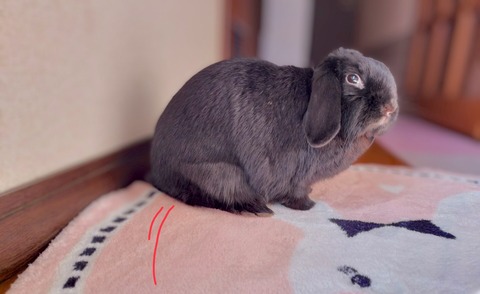 7D565405-395C-48EA-A7AC-7B4A3E2C7774