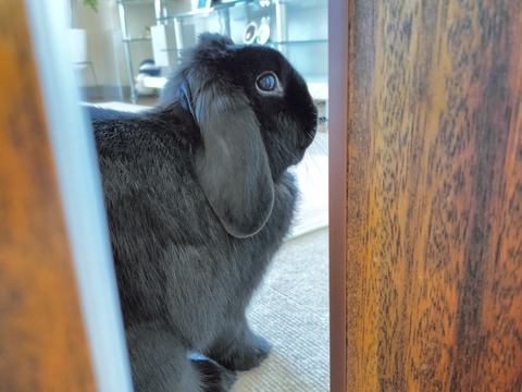 043A704D-3AC3-4A62-823A-AEE3D547A280