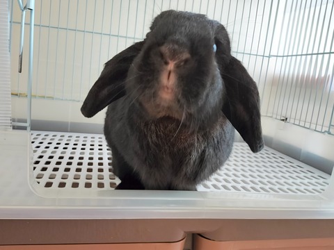 C93C6279-8092-488E-AB69-00732EA08EE8