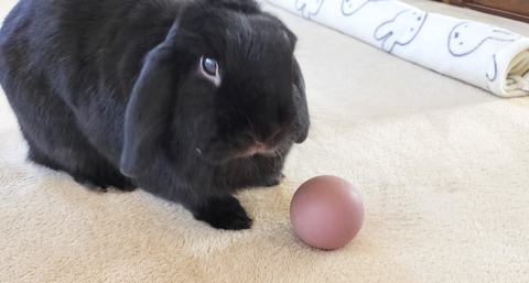 CEC33665-E117-45EC-96AD-84B1ACBF960C