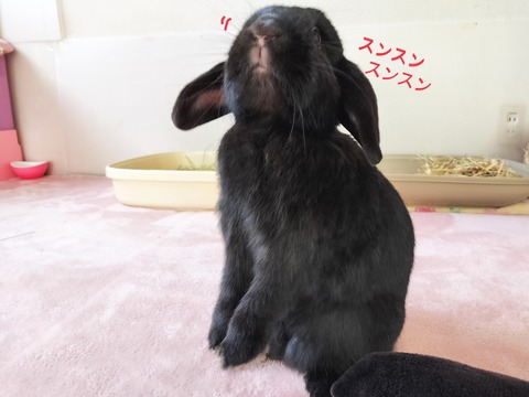 C0D6A03A-BEB1-4416-A929-D61AA5C517F8