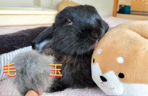 99409C34-2A44-4E0A-AFC9-4A54471074B5