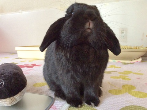 C2D6480D-DD7D-4EB0-8C29-DC2AFE21AC22