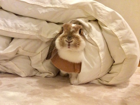 627D54F5-6E6D-44F6-89AF-502A299AD876