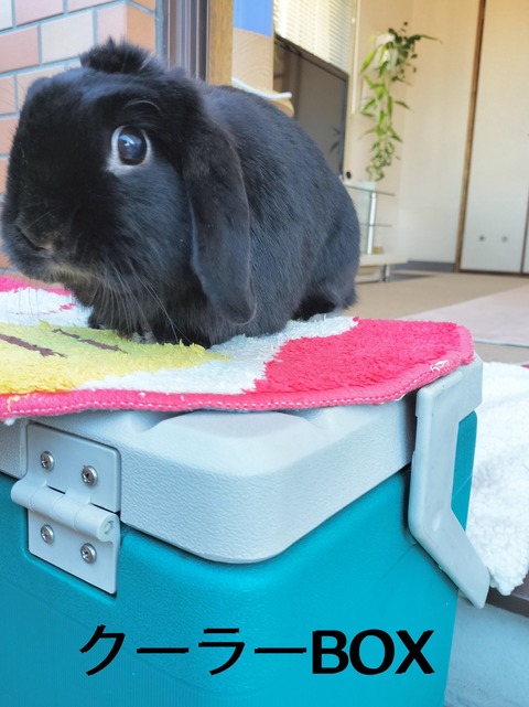 D937E4C0-9DF1-4255-8D84-2EA14AA3C142