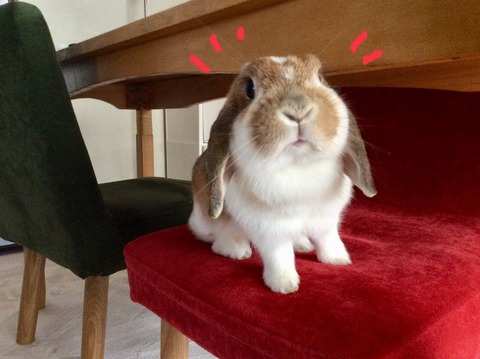 2ECDD6F2-0943-4CBE-88D6-5E5FF06D3DA5