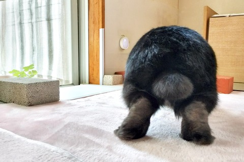 668647D7-9BD2-423D-9492-23E56C4F48D9