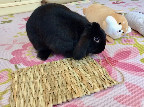 A73E6AFA-08D8-4D69-B34F-8BF5BFB12042