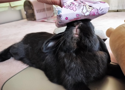 EEED393A-3486-421D-B8FF-1A896FDE6919