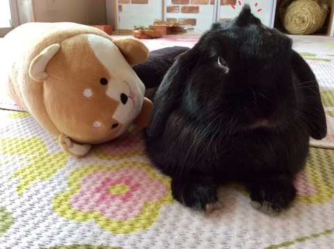 C19322D4-C67F-47D0-B2D9-9CCB2DD47AA8