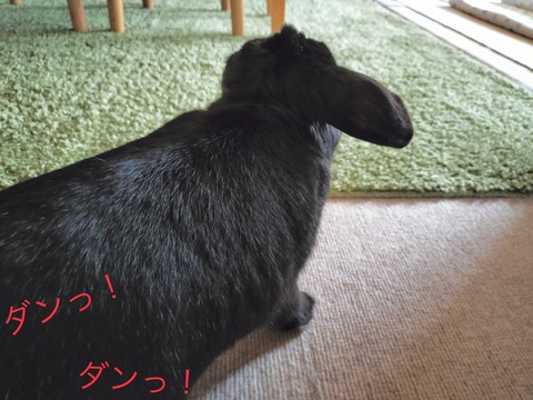 DB433C68-F7C4-4BF9-9A7D-4483C5B09EC5