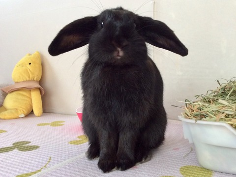 CDA02675-9B21-4DC7-8DA6-C5158156A612