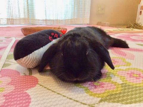 63DE86F5-AC05-4E34-BFA9-0F19C2ADFC8F