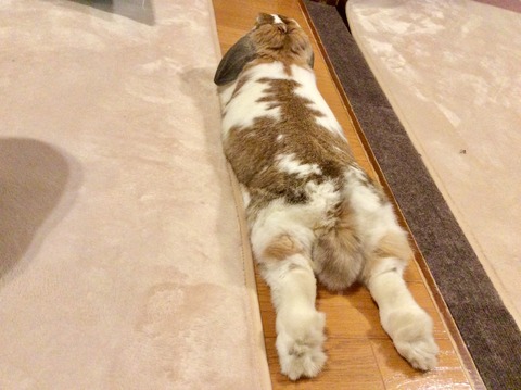 A6353926-2F61-4669-86BA-10D53497FB0F