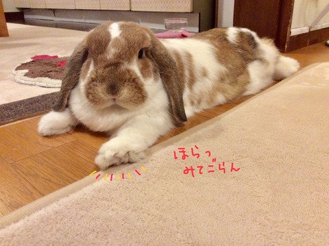 0A364C1E-4DD2-46EE-A885-BBF0E34F9603