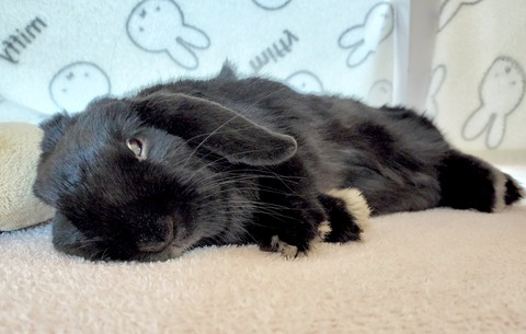 AEE39AE3-ECB9-4D5B-B431-E029F74590B8