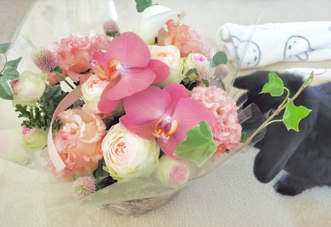 5ABE3304-8B76-4340-9867-D6DA55CA4C3F