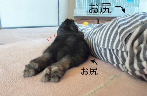 13FB4986-DDB4-41E5-86F4-E4313641F66B