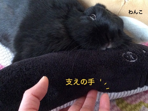 35B823C6-059D-43B5-8BFF-95B99AA36BA9