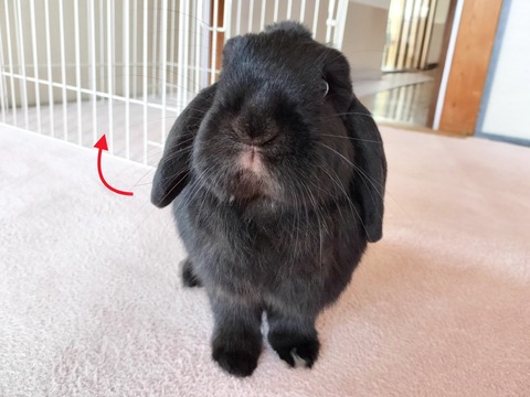 FB38E2A9-B577-4993-88CC-4D3521DCCA67