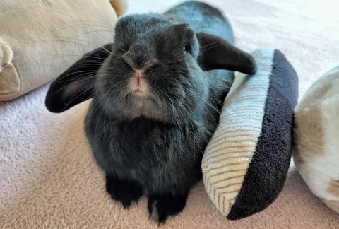 7A643E6E-395E-4534-8890-23158C752558