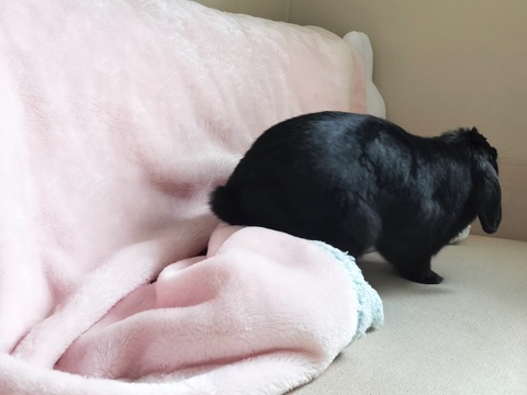 005ECE19-AF22-4812-81E2-5DC54ED314F4