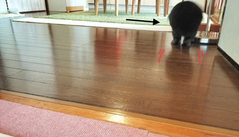 2A87AF9E-789A-439F-A497-366F7F8EFF6A