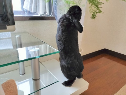 290BA9B2-F2BD-481E-91B9-338D494527D1