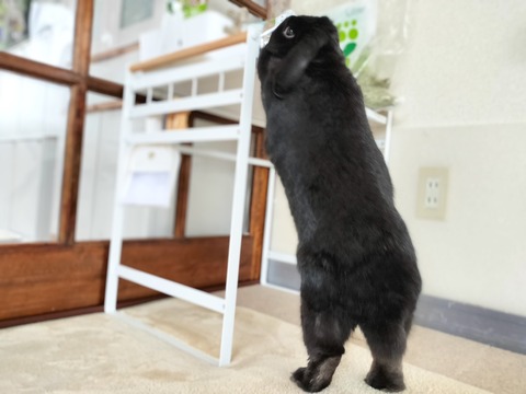 5F66C4E2-CA2E-4E99-B840-C8B2E0680FD3