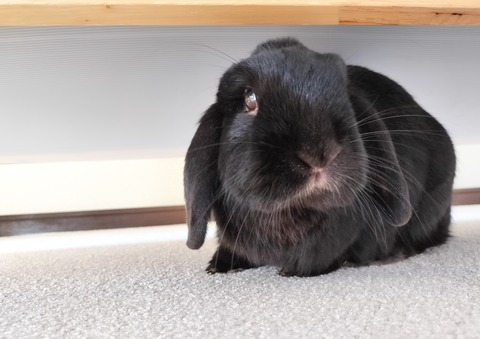 224E65A0-4F37-4777-82D5-F958915A29AE