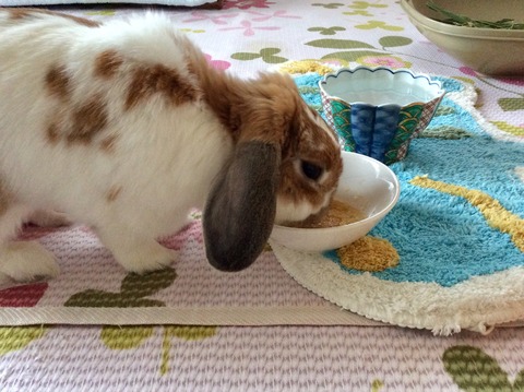 04062D9C-5FE2-474D-B0AC-43F0DD55ECE9