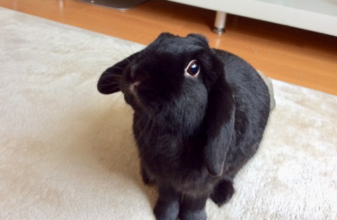 C1E4940E-AEB9-4072-9EF8-956B36FE7F66