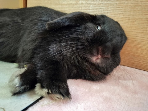 C87124B2-08F4-4B0A-9495-2BE42A8D64A0