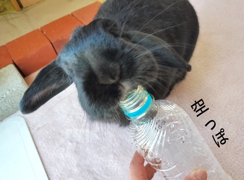 8D0D48EE-A77F-441A-AFB4-BB2E666DDD85