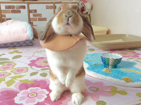 D1CDA1B6-37CD-40ED-BE8C-E065CEBEDC20