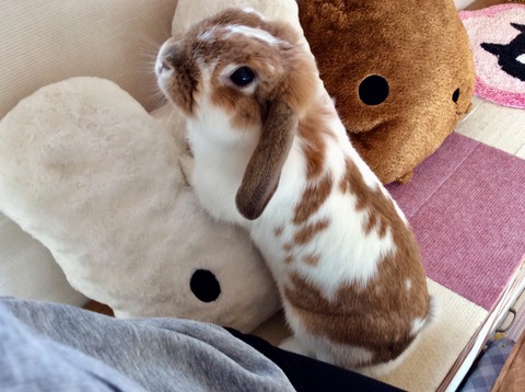 C1675271-BF63-4E06-83A9-405EE489653F