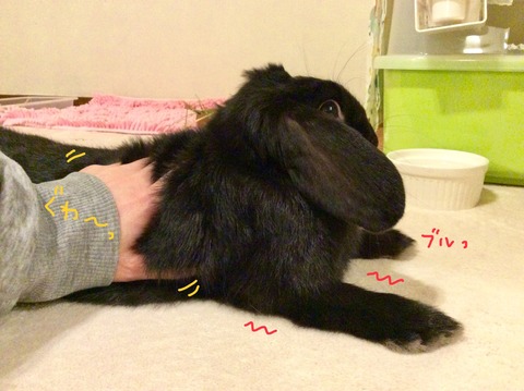 C5FB9B5C-1A33-4582-9A45-0718FA62716F