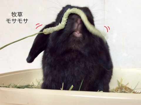 9E1644F7-D596-4DF8-92CF-1642F01019BA